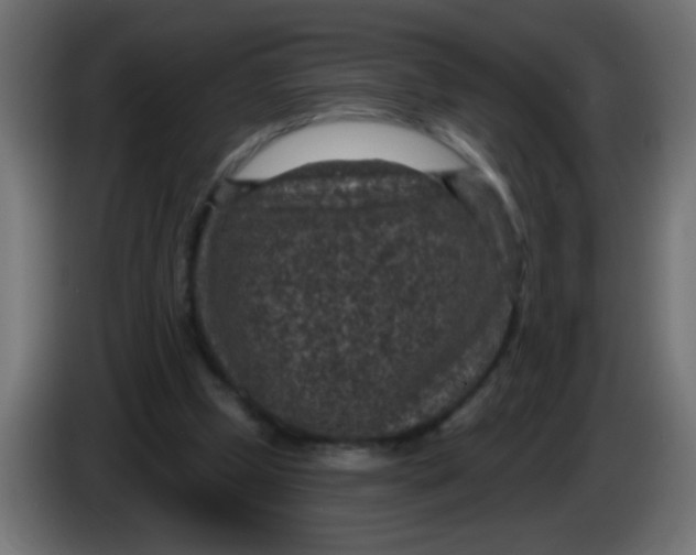 X0000086050249200704132002