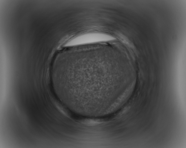 X0000086050250200704132002