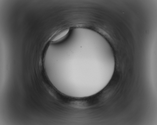 X0000086050251200704132002