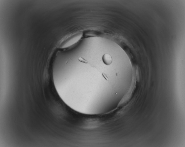 X0000086050252200704132002