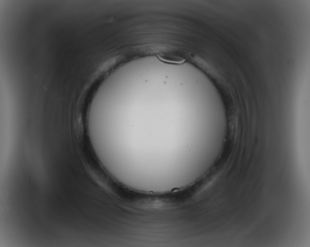 X0000086050254200704132002
