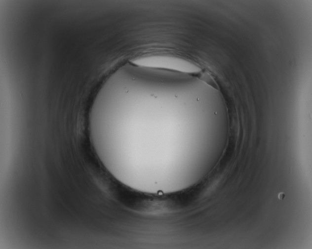 X0000086050255200704132002