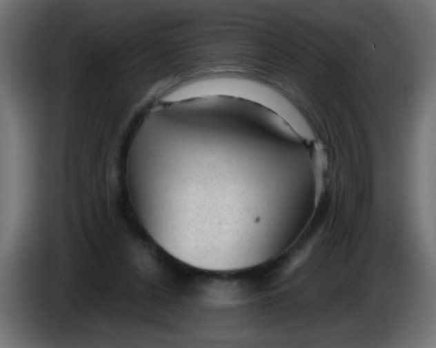 X0000086050256200704132002