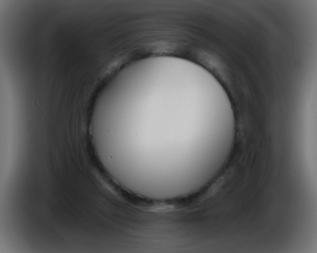 X0000086050257200704132002