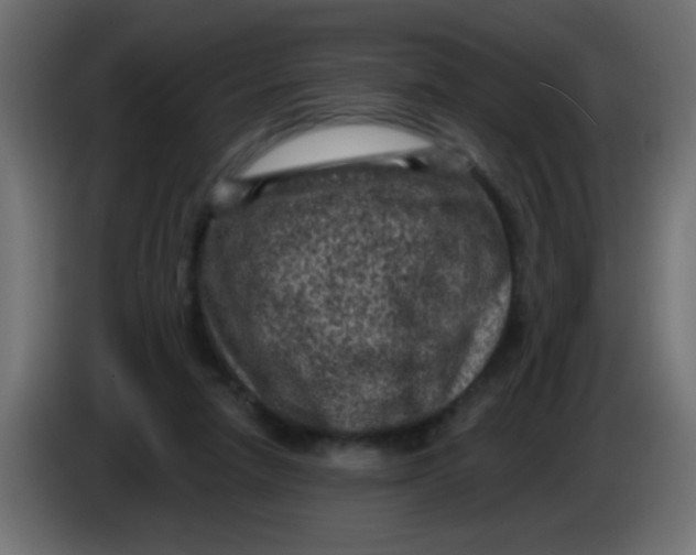 X0000086050258200704132002