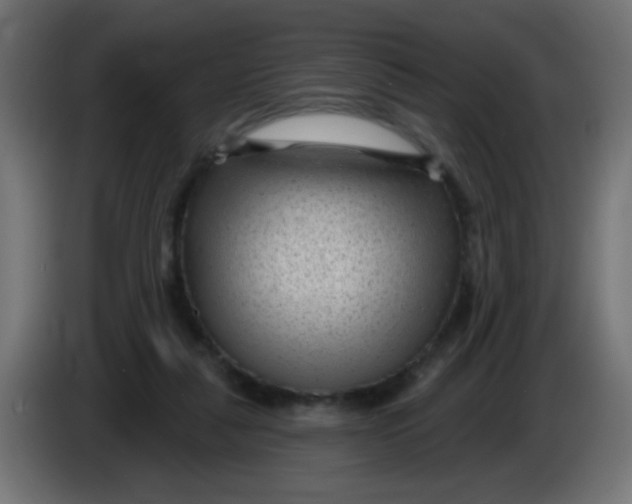 X0000086050259200704132002