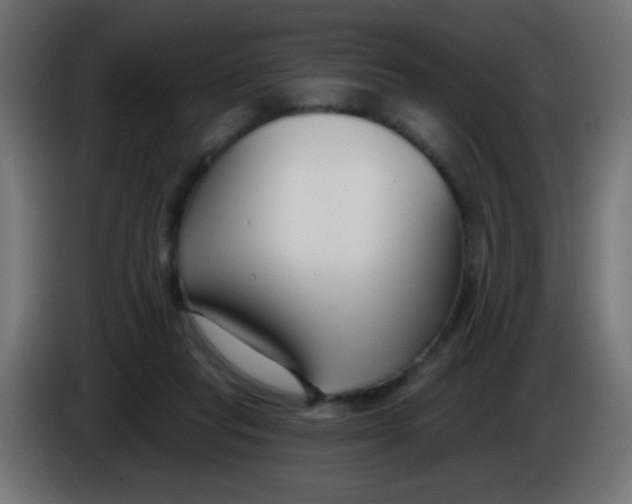 X0000086050261200704132002