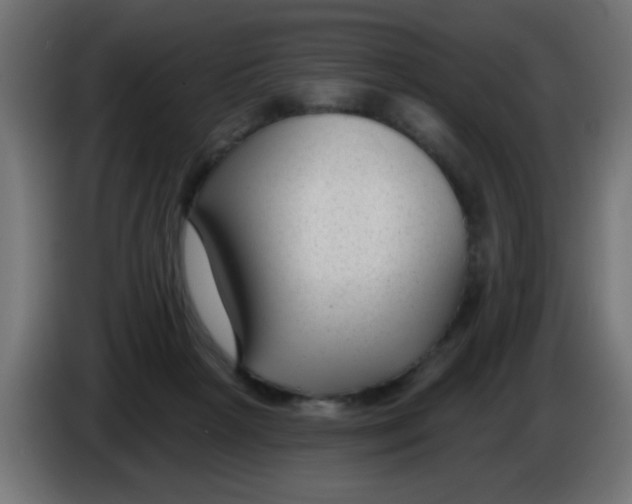 X0000086050265200704132002