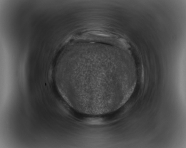 X0000086050266200704132003