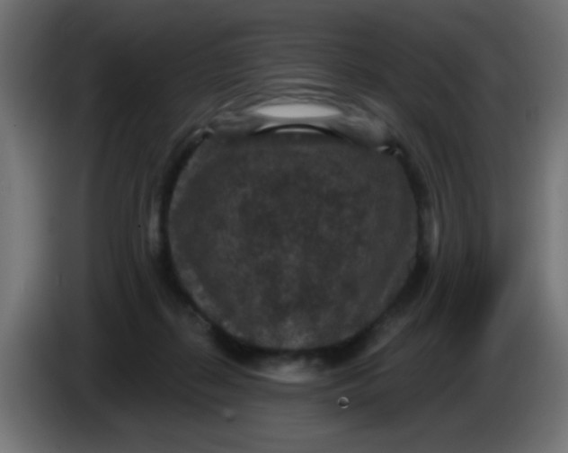 X0000086050267200704132003