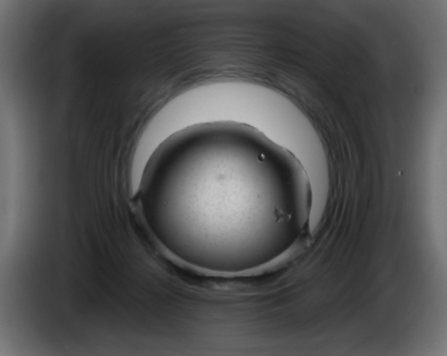 X0000086050268200704132003