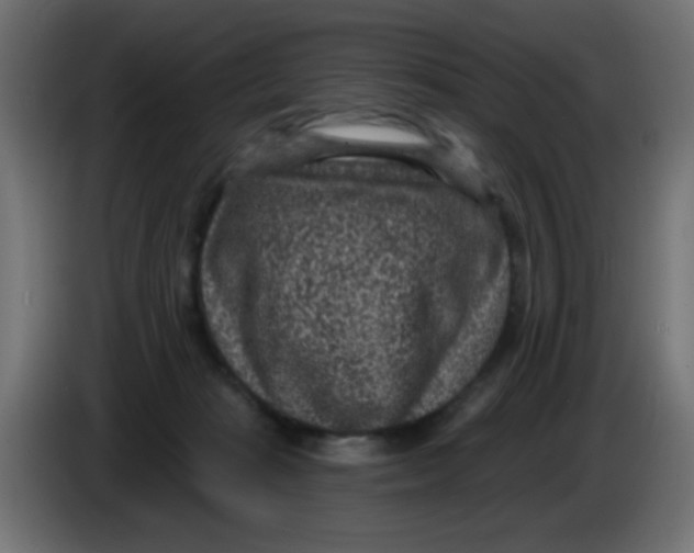X0000086050269200704132003