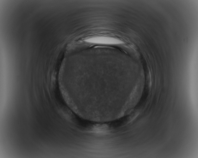 X0000086050271200704132003