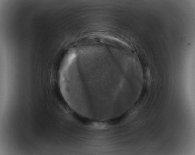 X0000086050272200704132003