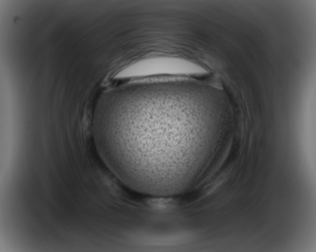 X0000086050273200704132003