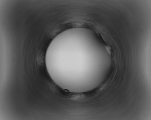 X0000086050274200704132003