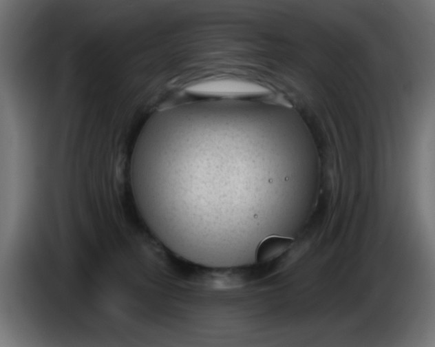 X0000086050275200704132003