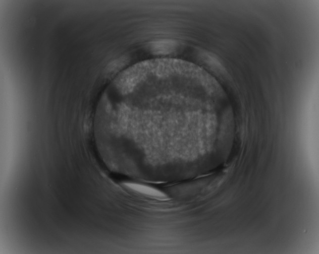 X0000086050277200704132003