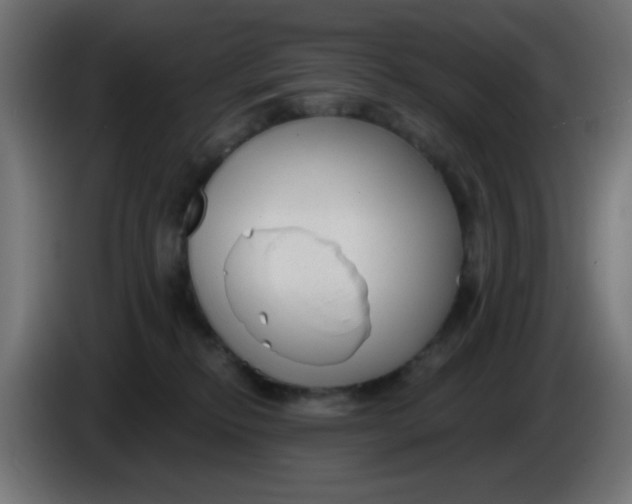 X0000086050278200704132003