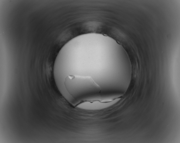 X0000086050279200704132003