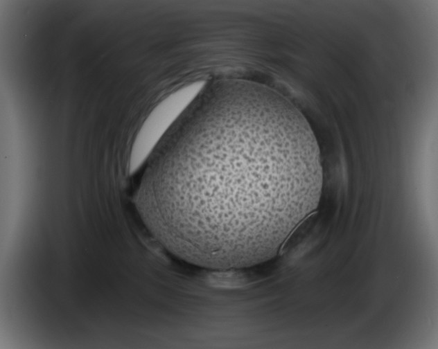X0000086050281200704132003