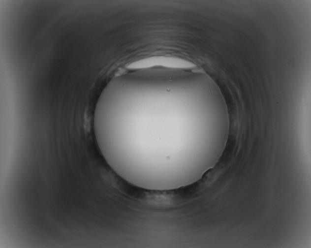 X0000086050282200704132003