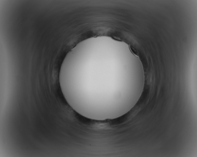 X0000086050283200704132003