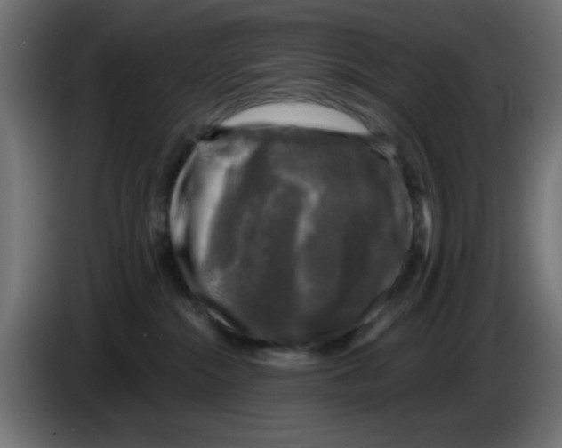 X0000086050284200704132003