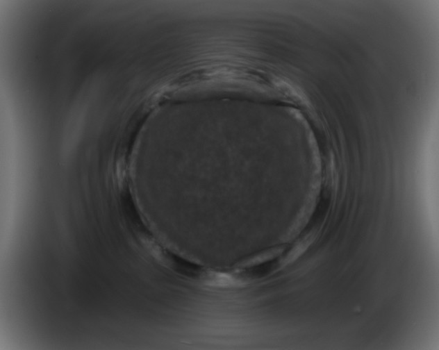 X0000086050285200704132003