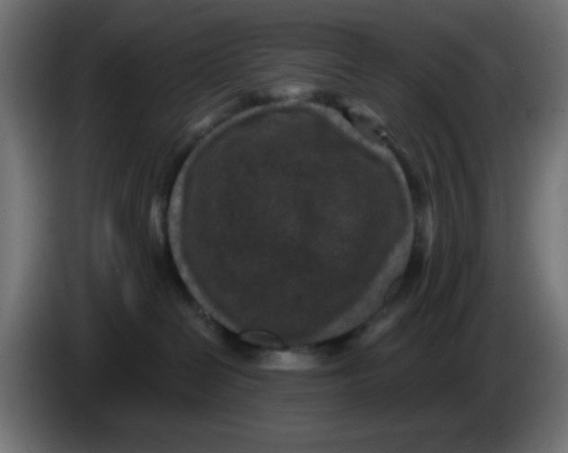 X0000086050286200704132003