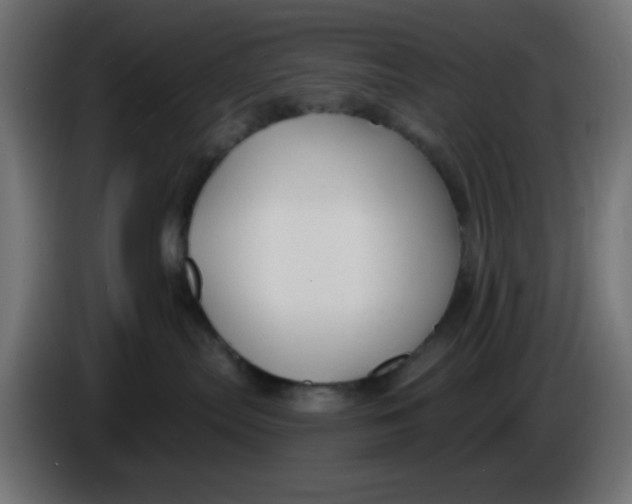 X0000086050287200704132003
