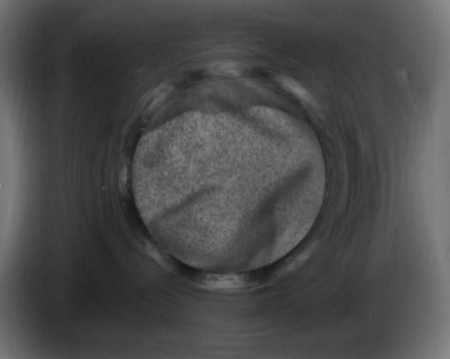X0000086050288200704132003