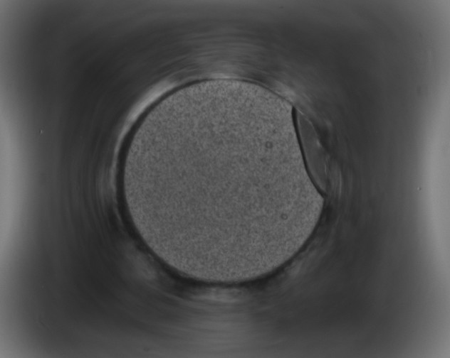 X0000086050292200704132002