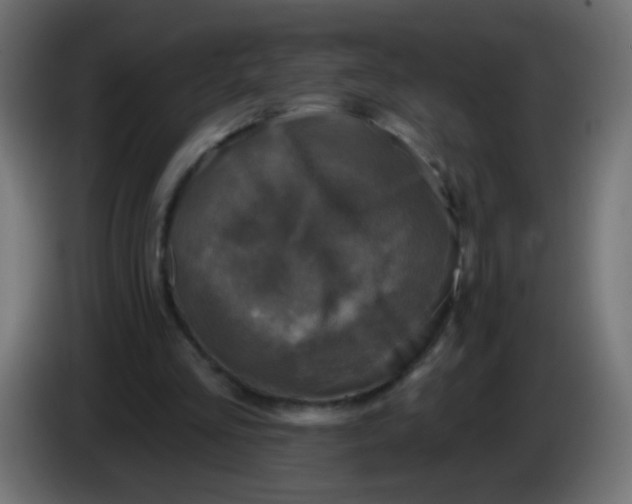 X0000086050293200704132002