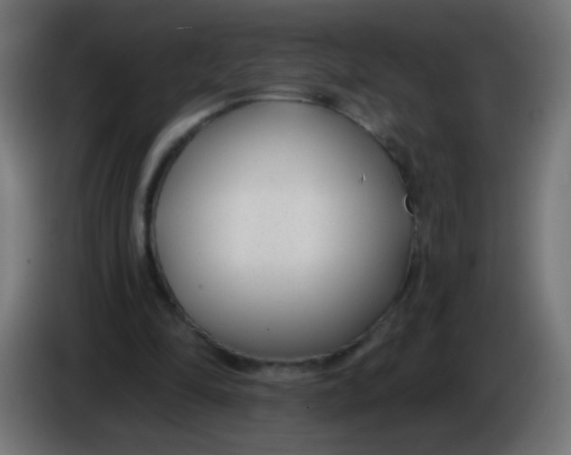 X0000086050294200704132002