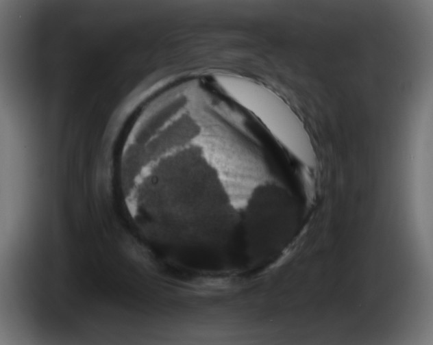 X0000086050295200704132002