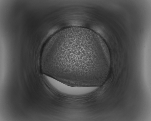 X0000086050299200704132002