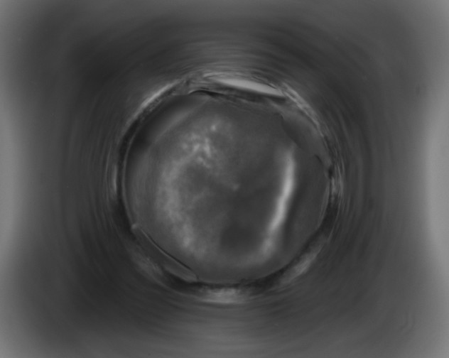 X0000086050301200704132002