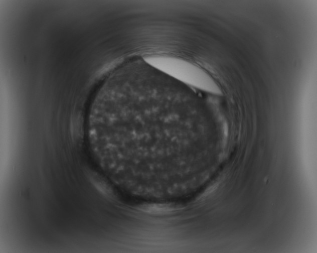 X0000086050303200704132002
