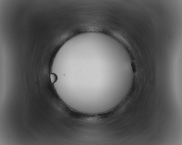 X0000086050306200704132002