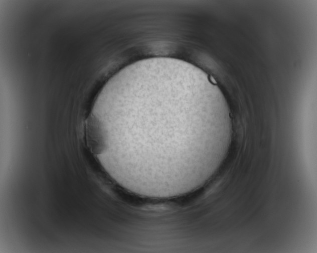 X0000086050307200704132002