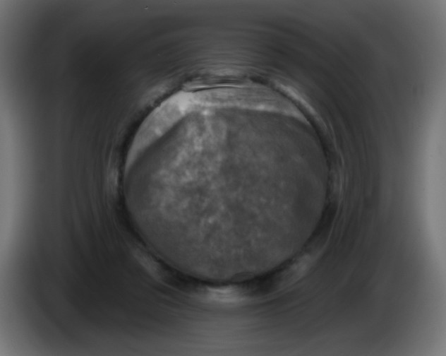 X0000086050309200704132002