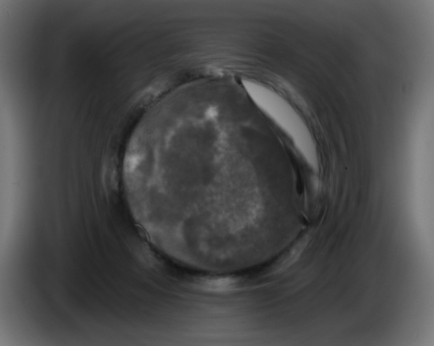 X0000086050313200704132002
