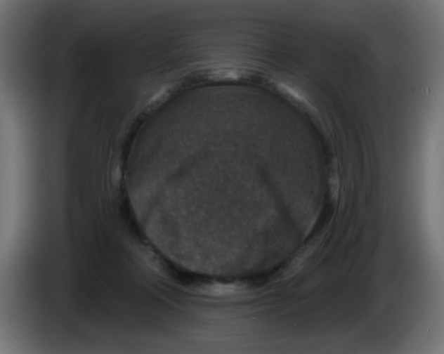 X0000086050314200704132002