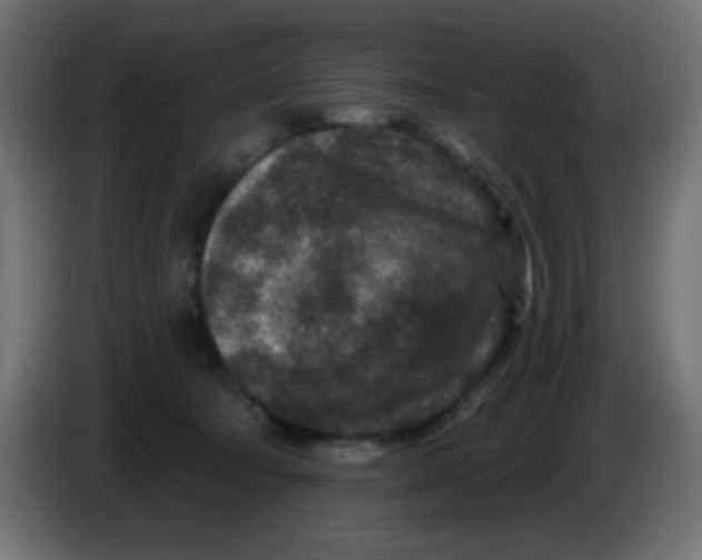 X0000086050322200704132002