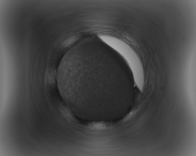 X0000086050325200704132002