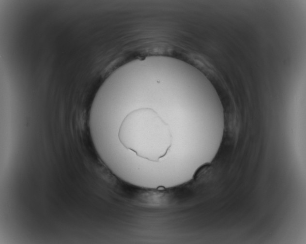X0000086050326200704132002