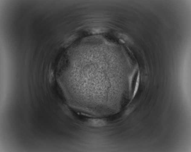 X0000086050327200704132002