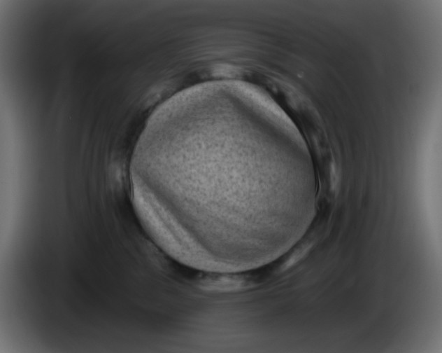 X0000086050329200704132002