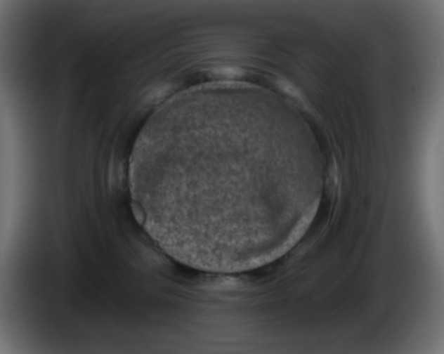 X0000086050330200704132002
